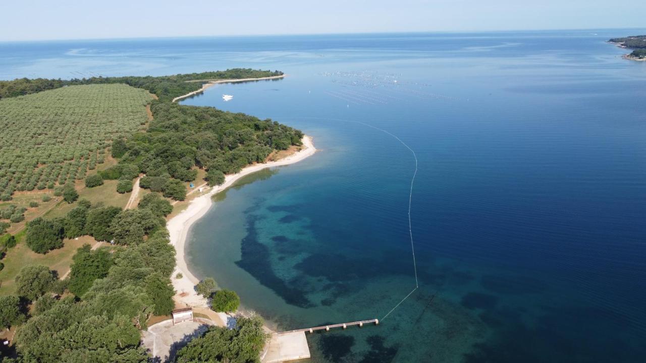 Apartman Pirol - Pure Enjoyment & Relaxation Lägenhet Poreč Exteriör bild